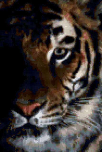 Темная сторона - животные, тигр, дикая кошка - оригинал