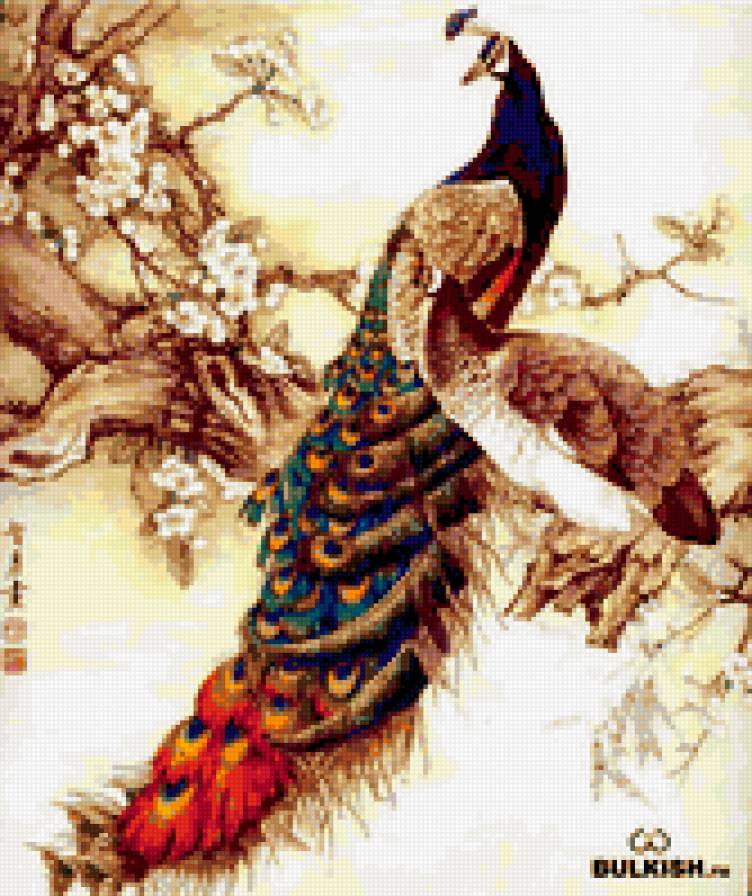 павлины - павлины - предпросмотр