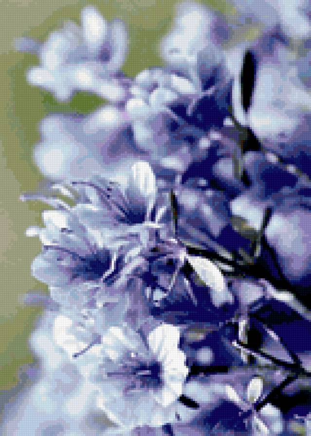 Цветы - синий, цветы - предпросмотр