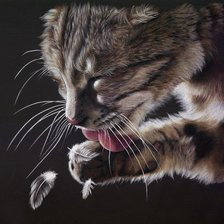 Схема вышивки «кошка»