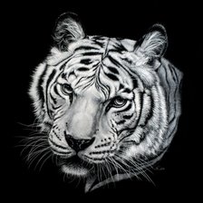 Оригинал схемы вышивки «Тигр» (№414868)