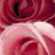 Предпросмотр схемы вышивки «розовые розы» (№414989)