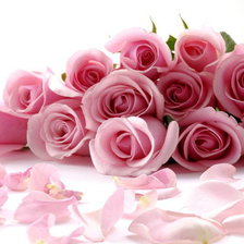 Оригинал схемы вышивки «розовые розы» (№414989)