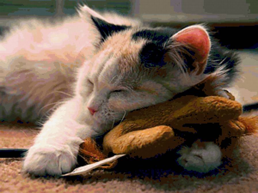 киска - киса - предпросмотр