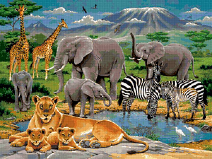 Африка - животные, африка - предпросмотр