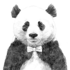 Схема вышивки «panda»