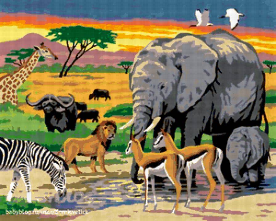 Африка - африка, животные - предпросмотр
