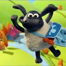 баранчик тимми