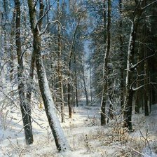 Оригинал схемы вышивки «Шишкин И.И. Зима в лесу (Иней)» (№415286)