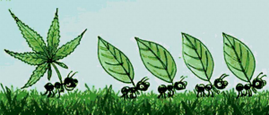 муравей - муравей - предпросмотр