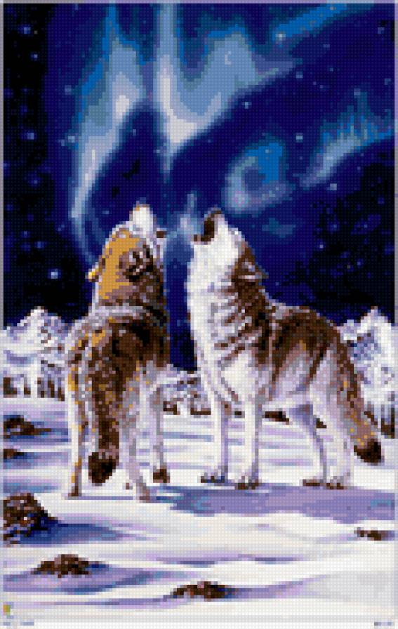 песня севера - волки - предпросмотр