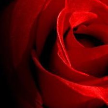 Схема вышивки «роза»