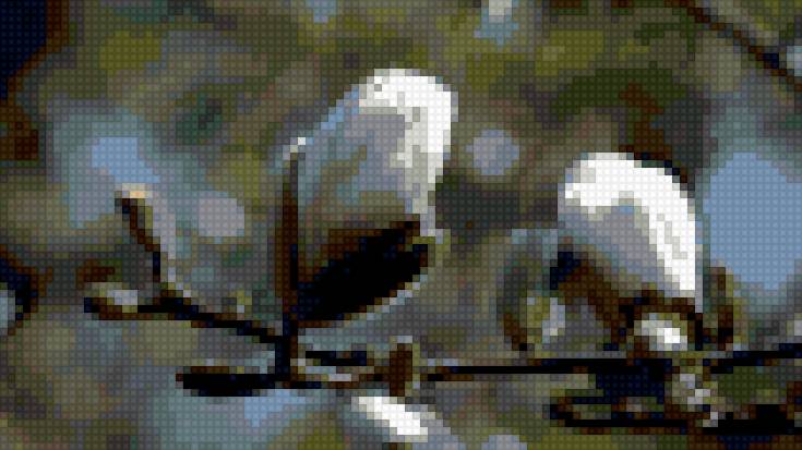 Пробуждение весны - верба, почка, весна - предпросмотр