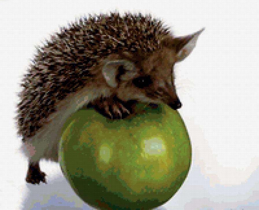 ёжик - яблоко, ежик, детское - предпросмотр