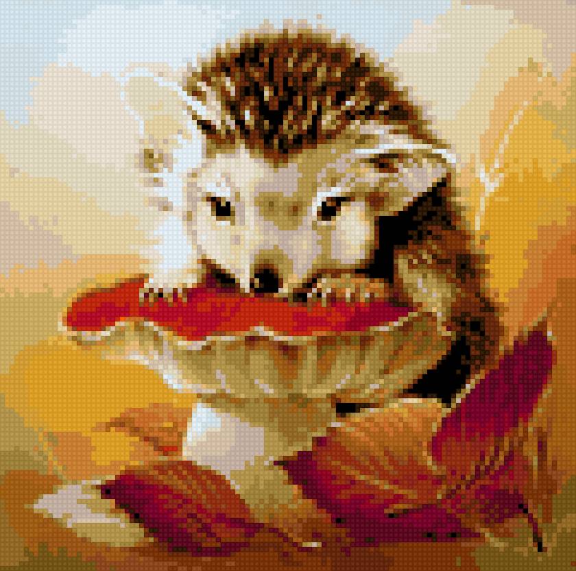 ежик - животные - предпросмотр