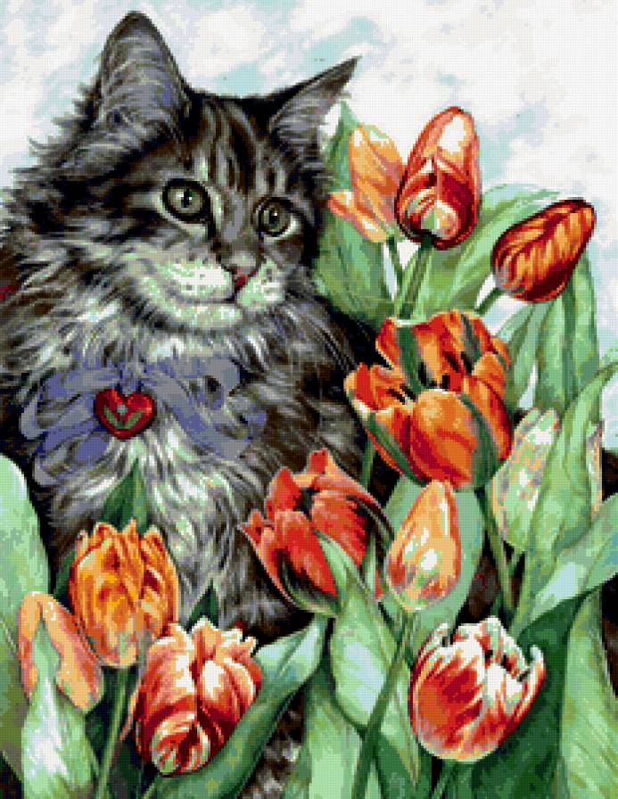 кошка и тюльпаны - предпросмотр