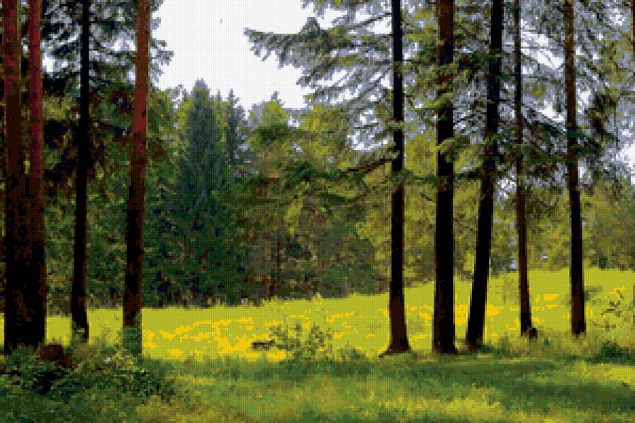 лето - лето, поляна, лес, солнце - предпросмотр