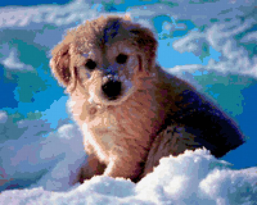 щенок - домашние животные, зима, собака - предпросмотр