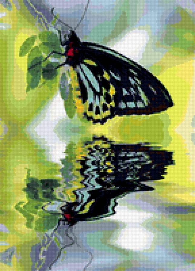 бабочка - природа, бабочка - предпросмотр