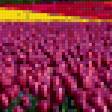 Предпросмотр схемы вышивки «Тюльпановое поле» (№415975)