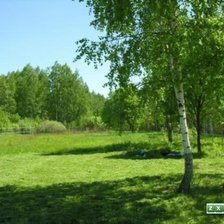 Схема вышивки «роща 2»