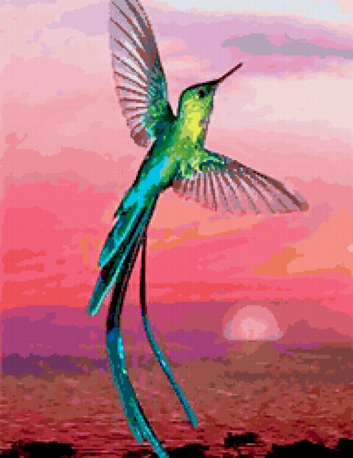 колибри - небо, закат, птичка, колибри - предпросмотр