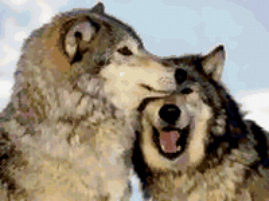 влюблённые - предпросмотр