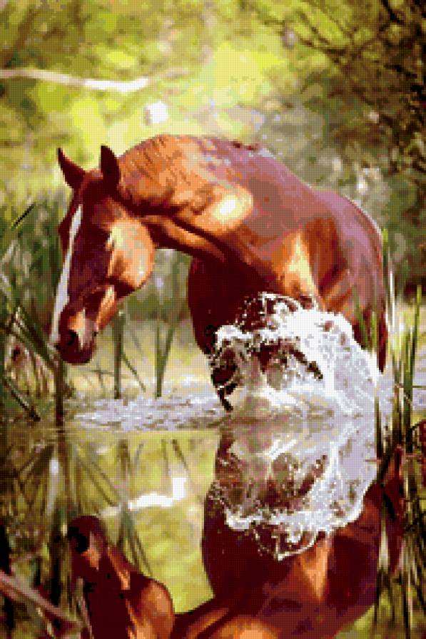 конь в воде - лошади, животные, конь - предпросмотр