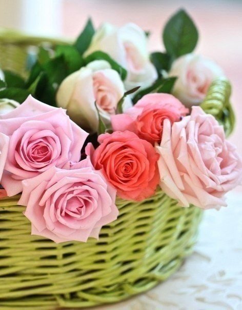 розы в корзине - цветы, розы - оригинал