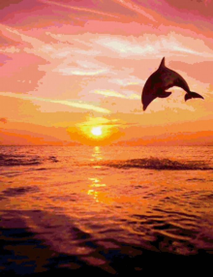 дельфин на закате - закат, море, дельфины - предпросмотр