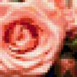 Предпросмотр схемы вышивки «букет роскошных роз» (№416301)