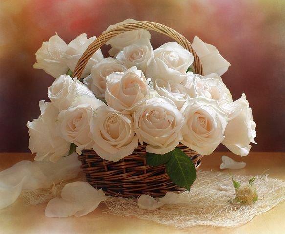 корзина белых роз - розы, цветы, белые розы - оригинал