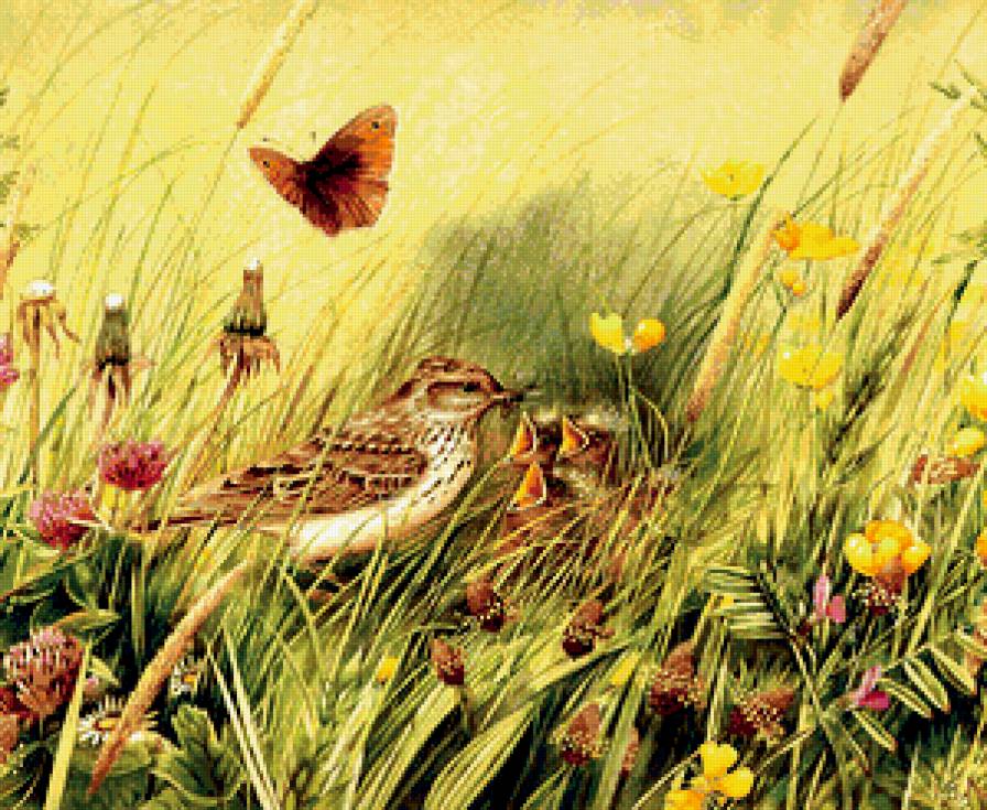 Серия "Птицы" - птицы, природа, растение - предпросмотр