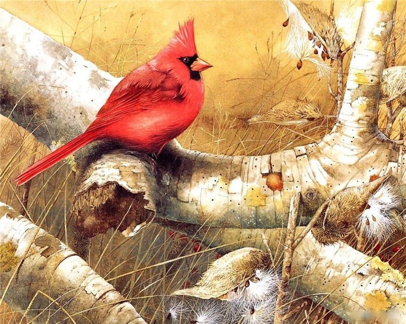 Серия "Птицы" - птицы, природа, растение - оригинал