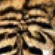 Предпросмотр схемы вышивки «тигр 2» (№416350)