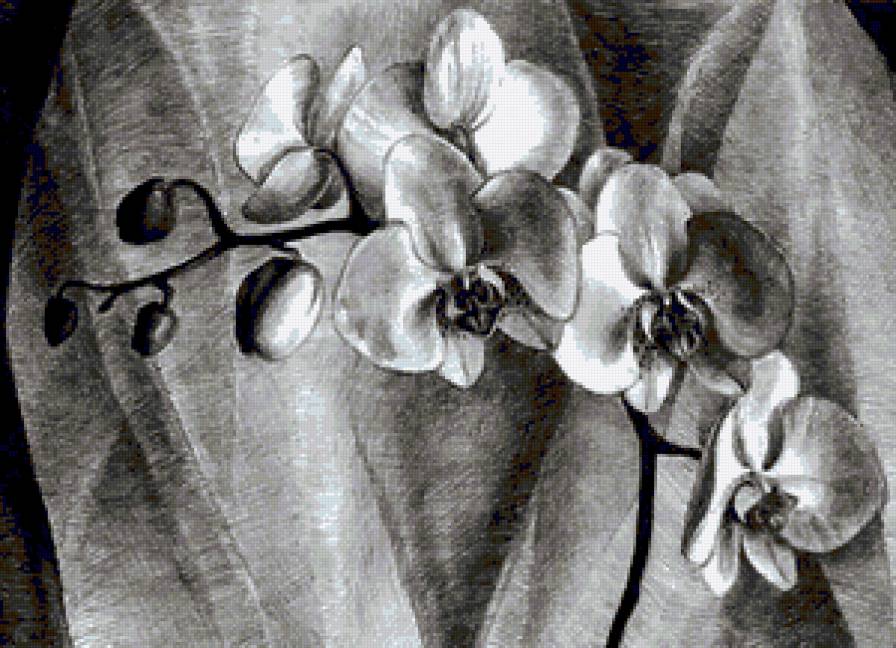 3 - цветы - предпросмотр