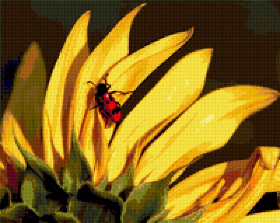 Ах, лето! - лето, букашка, подсолнух - предпросмотр