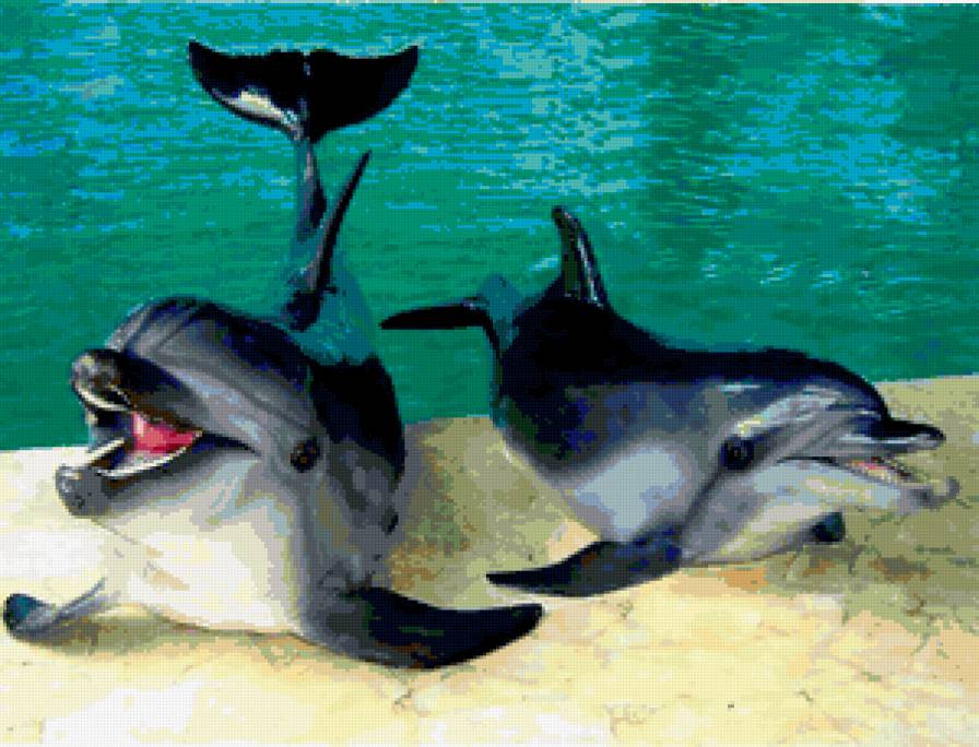 животные - delfini, animals - предпросмотр