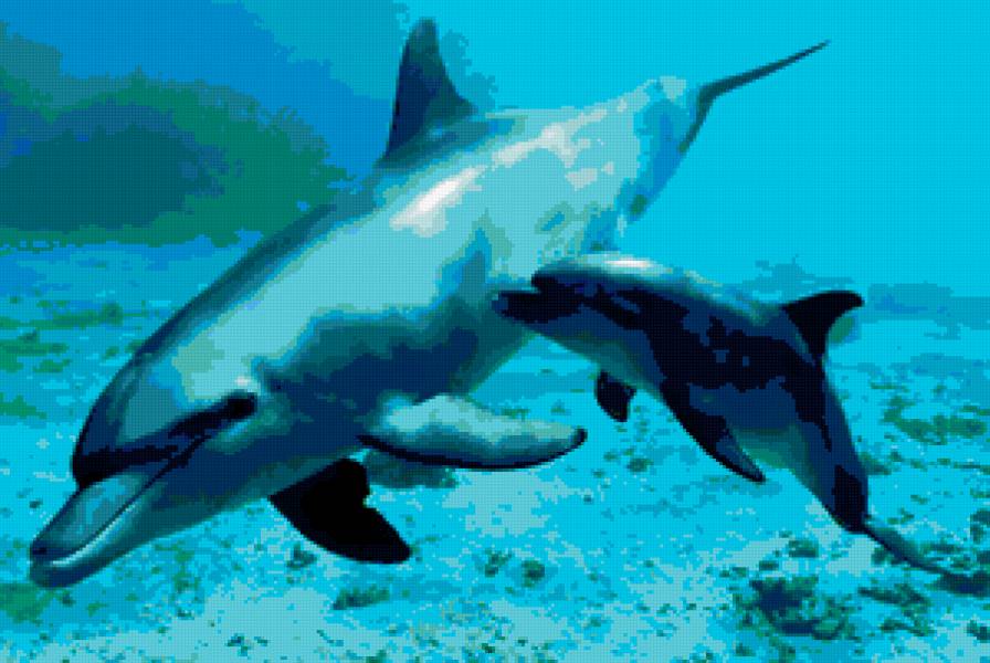 delfini - animals, delfini - предпросмотр