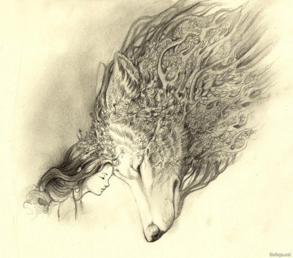 Волк - волк, животные - оригинал