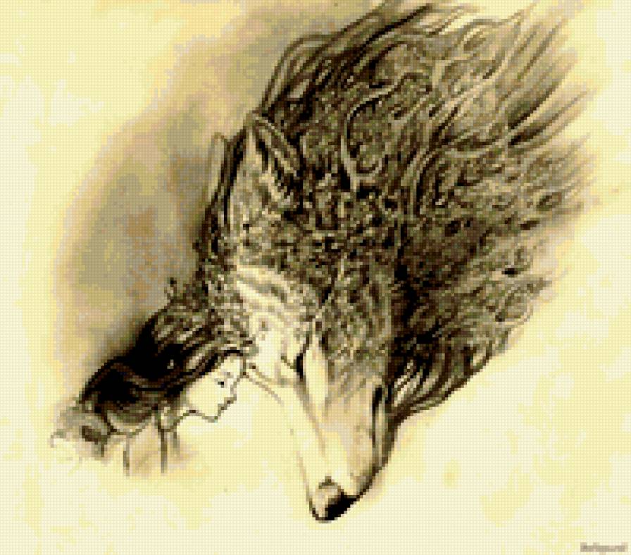 Волк - волк, животные - предпросмотр