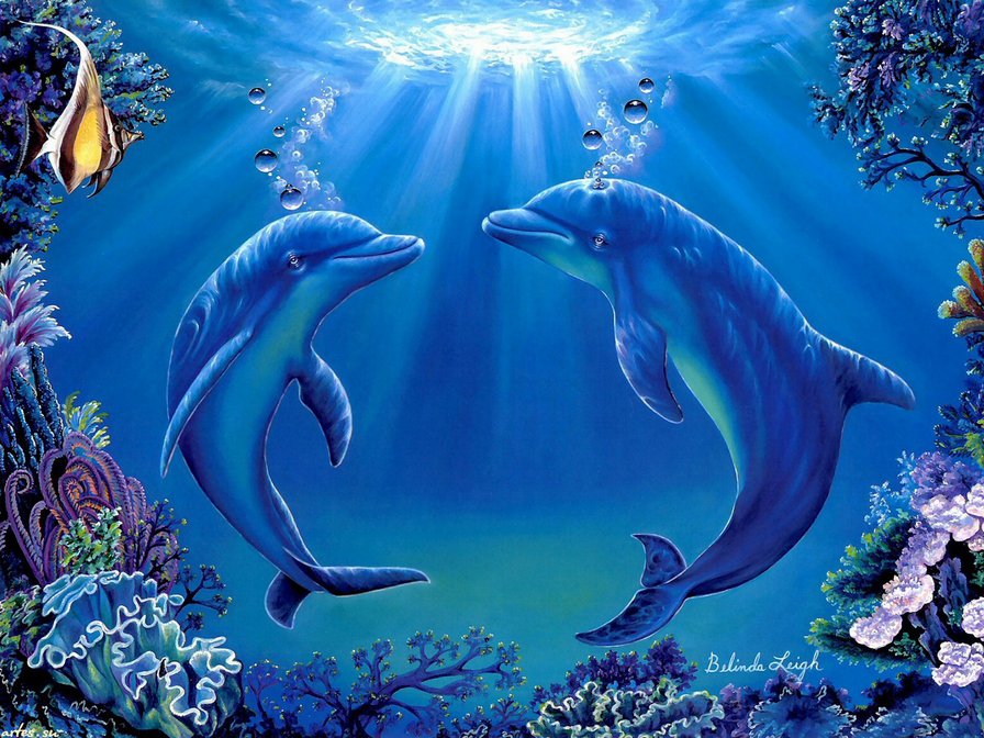 delfini - delfini, animals - оригинал