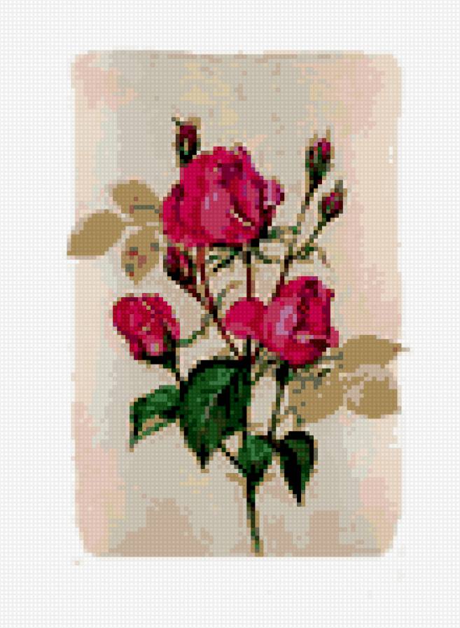 чувства - цветы - предпросмотр