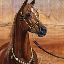 Схема вышивки «№416716»