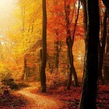 Схема вышивки «Осень»