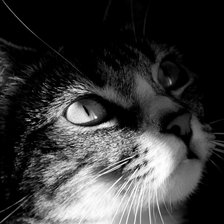 Схема вышивки «№416729»