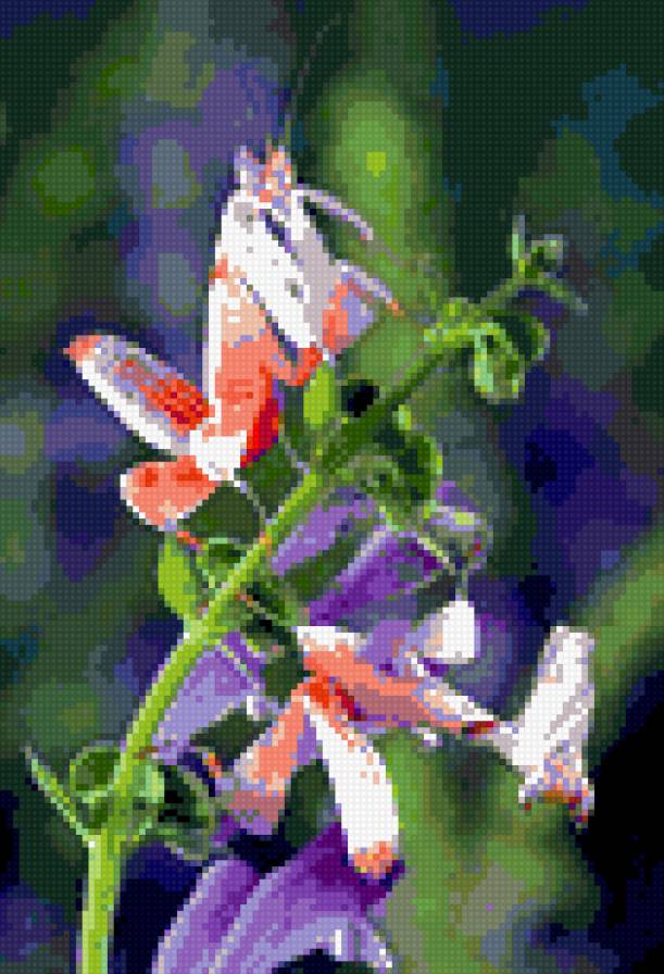 земляника - предпросмотр