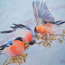 Схема вышивки «Серия "Птицы"»