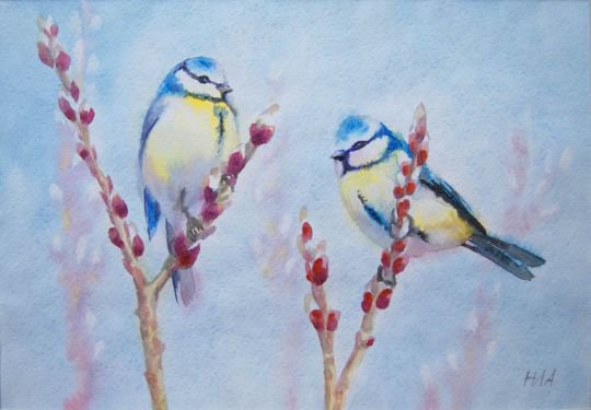 Серия "Птицы" - птицы, синицы - оригинал