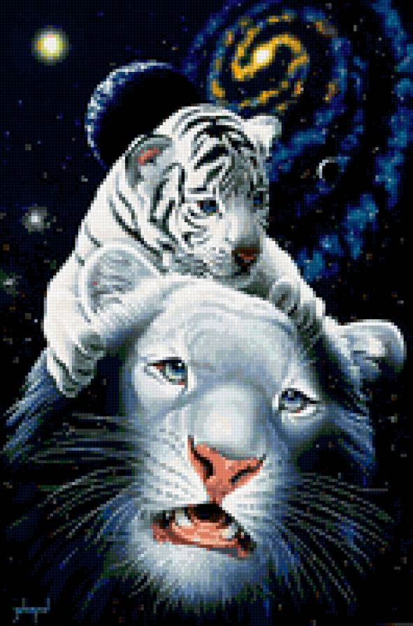 тигры - кошки, тигр - предпросмотр